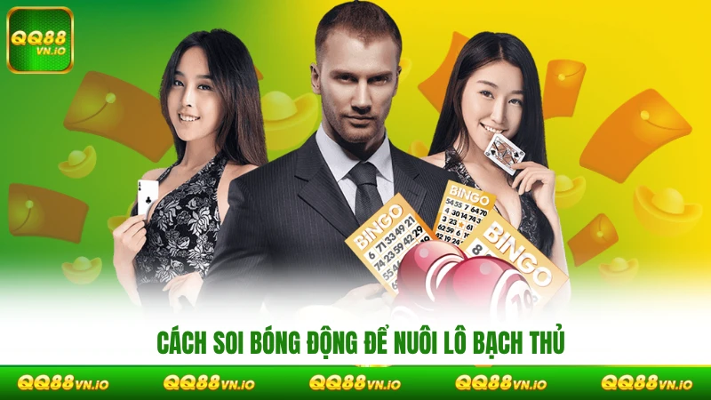 Cách soi bóng động để nuôi lô bạch thủ