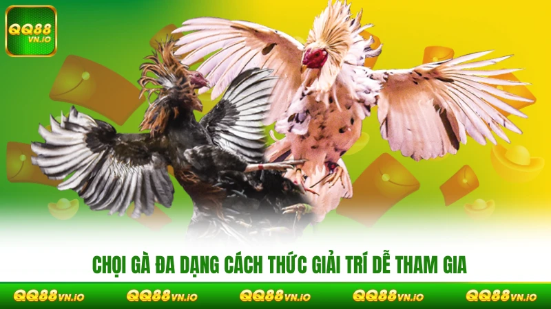 Chọi gà đa dạng cách thức giải trí & dễ tham gia