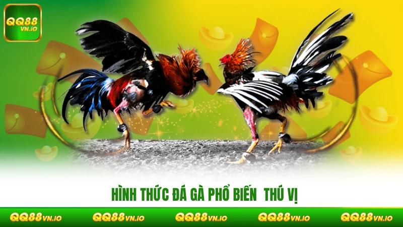 Hình thức đá gà phổ biến mang đến trải nghiệm giải trí độc đáo và thú vị
