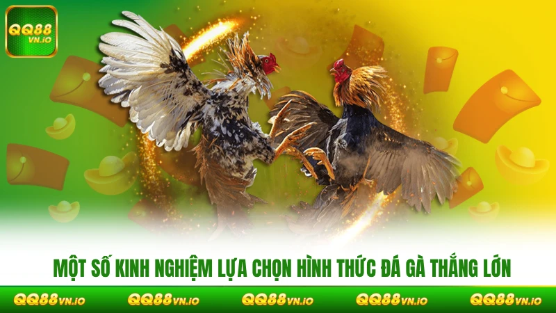 Một số kinh nghiệm lụa chọn hình thức đá gà thắng lớn